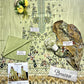 Bareeza Lawn 3 Pieces, Unstitched Dress For Women | Summer Collection