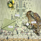Bareeza Lawn 3 Pieces, Unstitched Dress For Women | Summer Collection